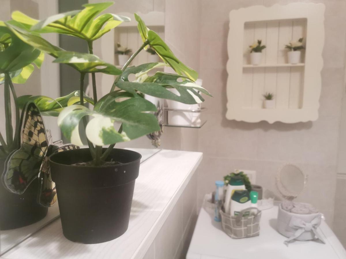 Domus Flavi Appartement Rome Buitenkant foto